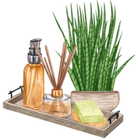 aromatherapy